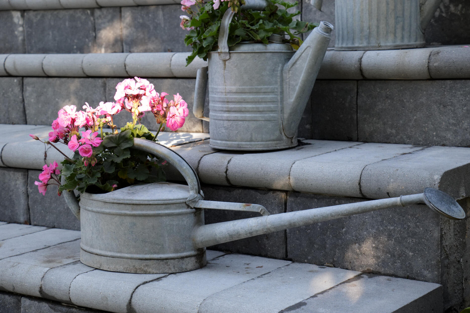 Psst- There's an old concrete step under the pavers.