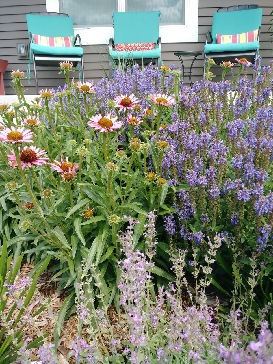 Summer color welcomes you at this entry!