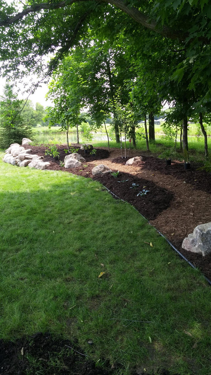 A walk in the woods accented by boulders- Faribault MN