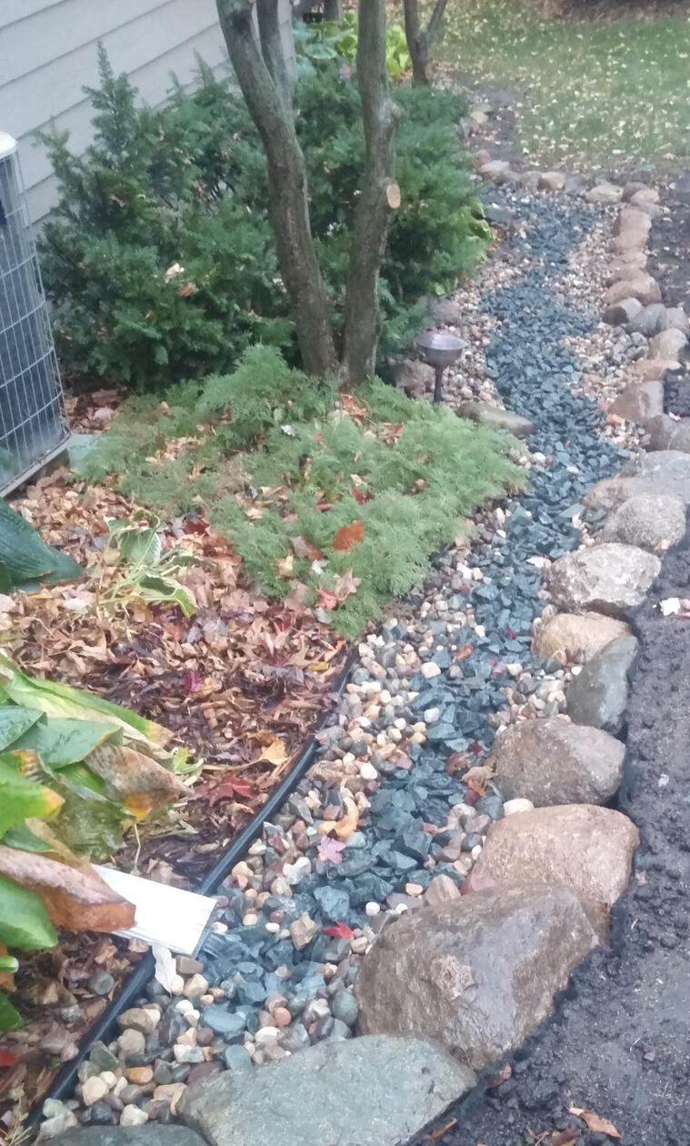 Dry creek bed downspout drainage for northside shade