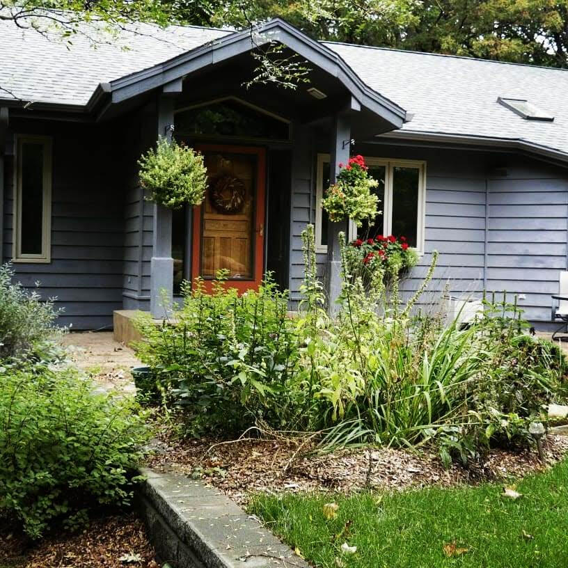 Rain Garden for runoff by the front door